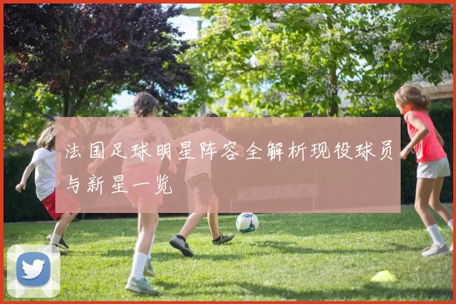 法国足球明星阵容全解析现役球员与新星一览