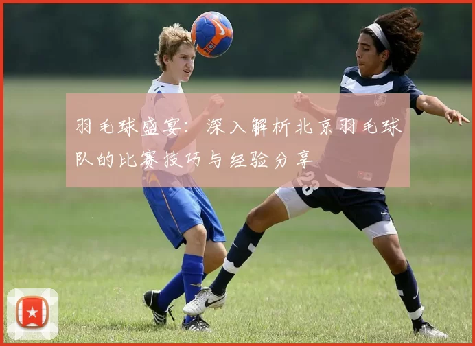 羽毛球盛宴：深入解析北京羽毛球队的比赛技巧与经验分享