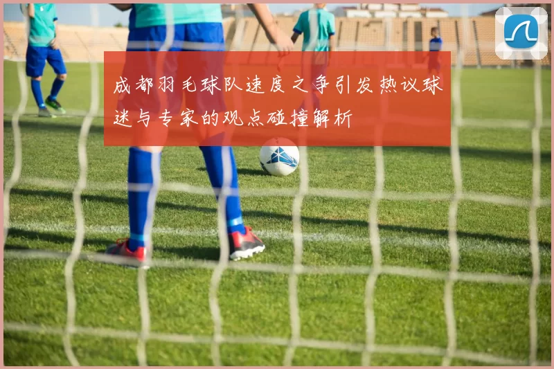 成都羽毛球队速度之争引发热议球迷与专家的观点碰撞解析