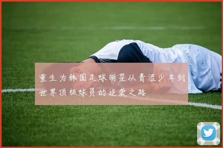 重生为韩国足球明星从青涩少年到世界顶级球员的逆袭之路