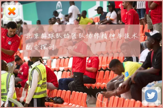 北京排球队的团队协作精神与技术配合探讨