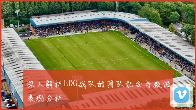 深入解析EDG战队的团队配合与数据表现分析