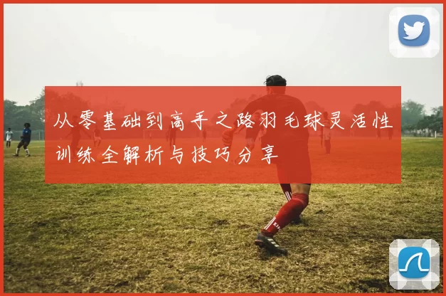 从零基础到高手之路羽毛球灵活性训练全解析与技巧分享