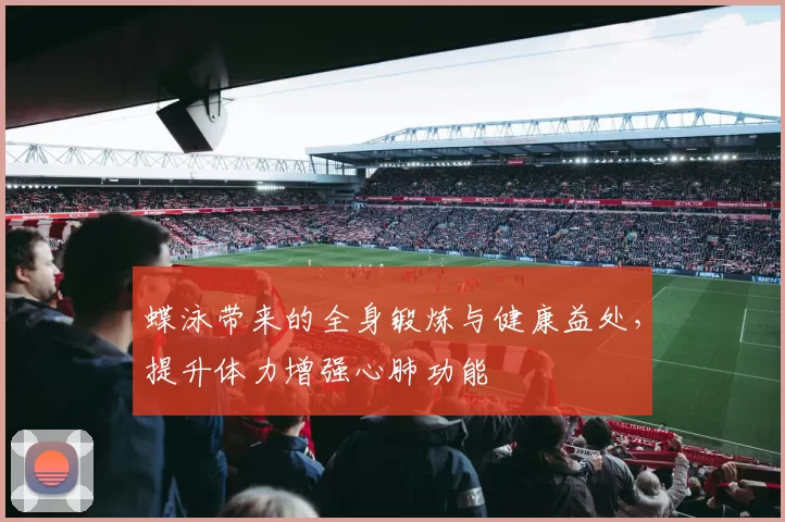 蝶泳带来的全身锻炼与健康益处，提升体力增强心肺功能