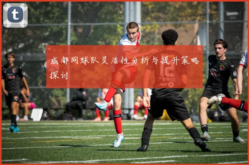 成都网球队灵活性分析与提升策略探讨