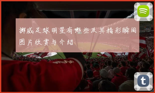 挪威足球明星有哪些及其精彩瞬间图片欣赏与介绍