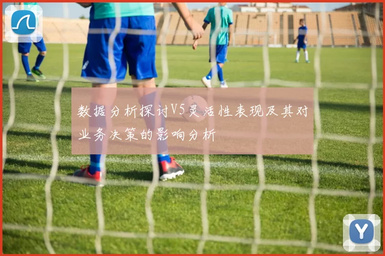 数据分析探讨V5灵活性表现及其对业务决策的影响分析