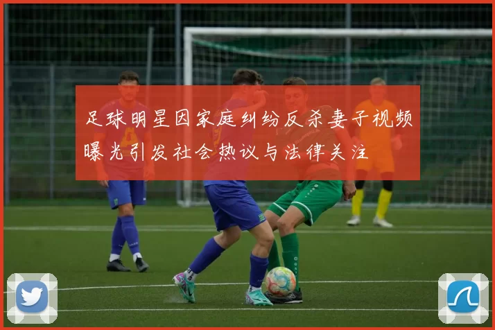 足球明星因家庭纠纷反杀妻子视频曝光引发社会热议与法律关注