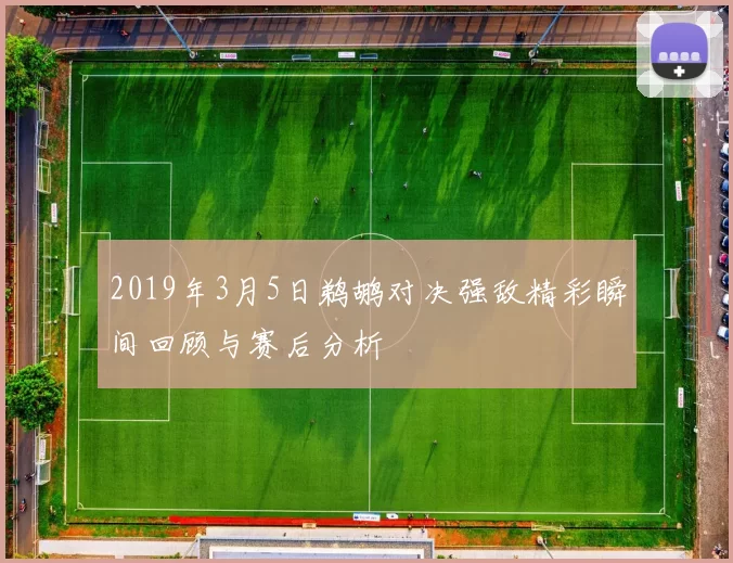 2019年3月5日鹈鹕对决强敌精彩瞬间回顾与赛后分析