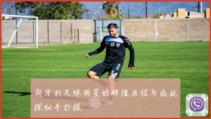 匈牙利足球明星的辉煌历程与成就探秘手抄报