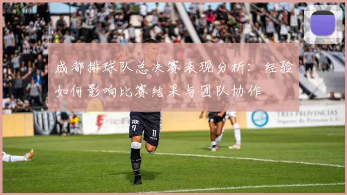 成都排球队总决赛表现分析：经验如何影响比赛结果与团队协作