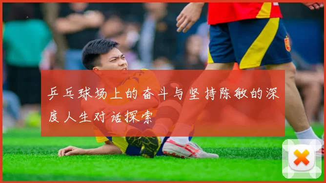 乒乓球场上的奋斗与坚持陈敏的深度人生对话探索