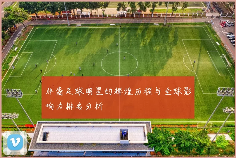 非裔足球明星的辉煌历程与全球影响力排名分析