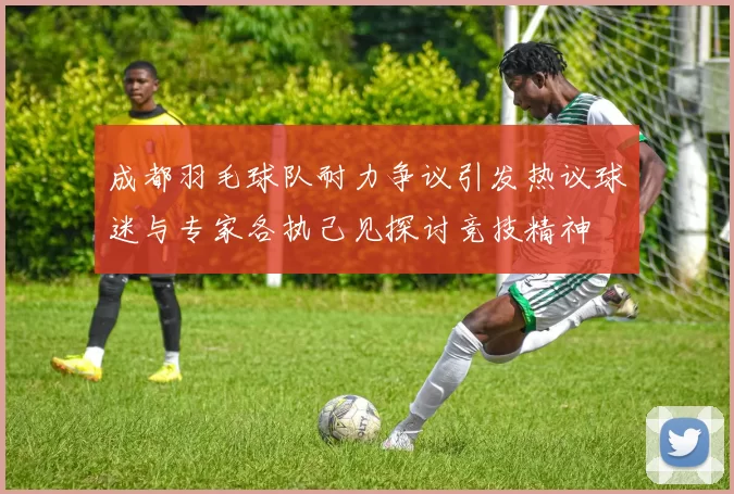 成都羽毛球队耐力争议引发热议球迷与专家各执己见探讨竞技精神