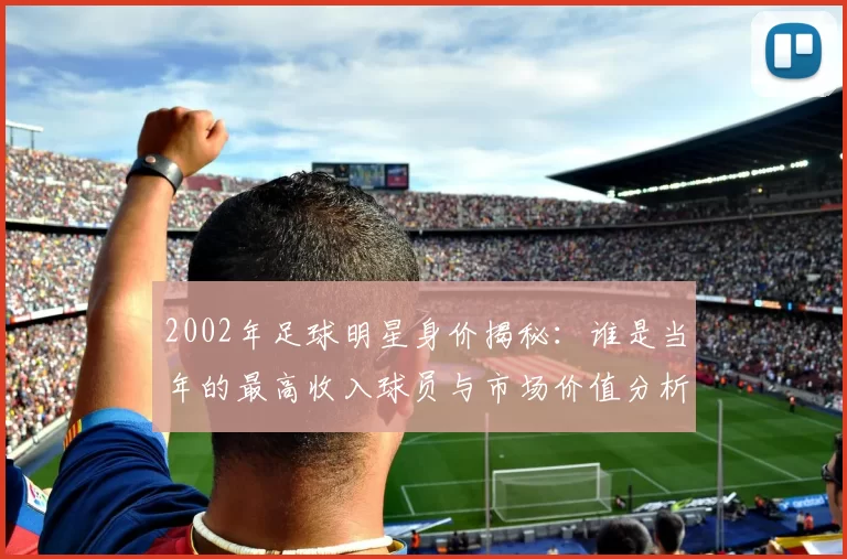2002年足球明星身价揭秘：谁是当年的最高收入球员与市场价值分析