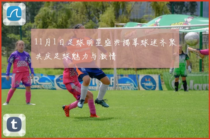 11月1日足球明星盛典揭幕球迷齐聚共庆足球魅力与激情