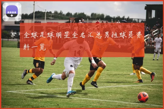 全球足球明星全名汇总男性球员资料一览
